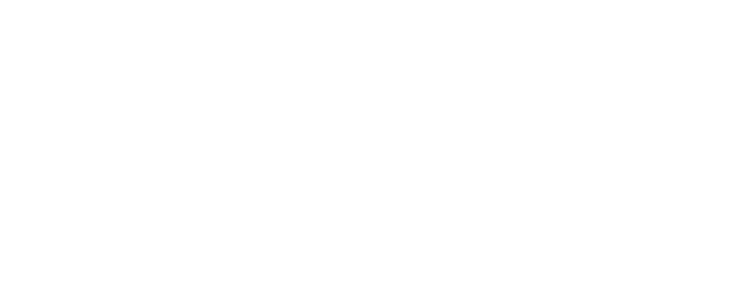 Stoneridge Software logo