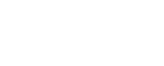 Stoneridge Software logo