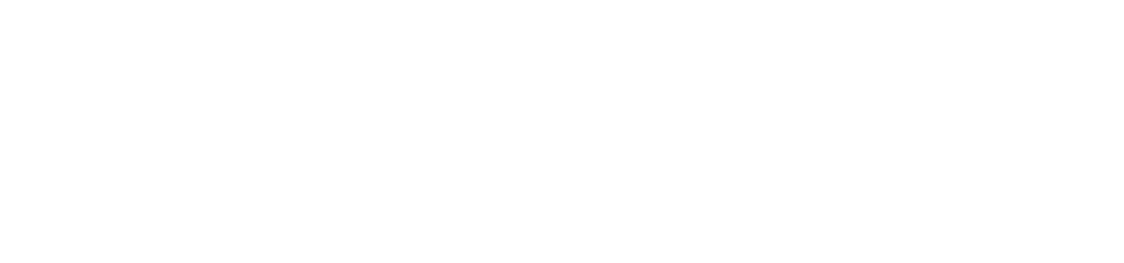 Cyberfortress - The Recovery People logo