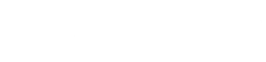 Cyberfortress - The Recovery People logo