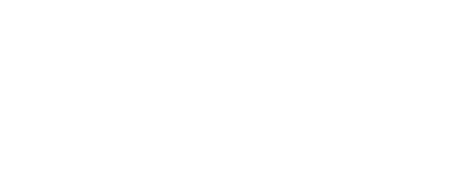 Dell Software logo