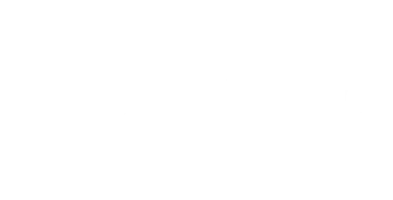 Exagrid logo