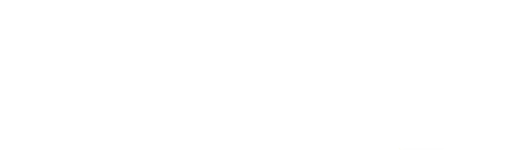 thycotic logo
